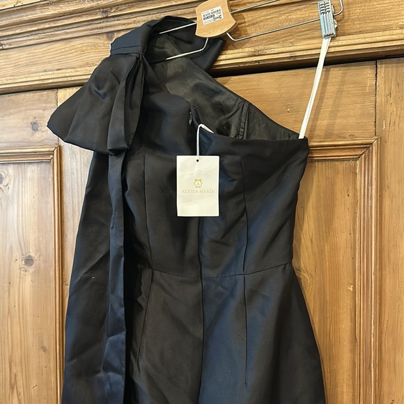 Alexia Maria Gabriella Gown - Picture 9 of 12